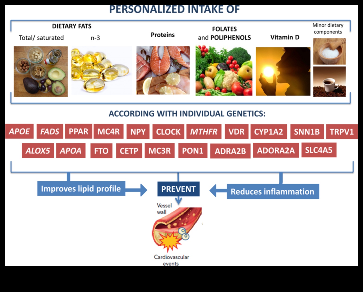 Tek bedenin ötesinde herkesin ötesinde: Nutrigenomics ile Özel Beslenme